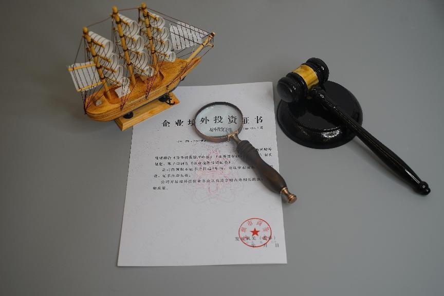 企業境外投資 企業境外投資