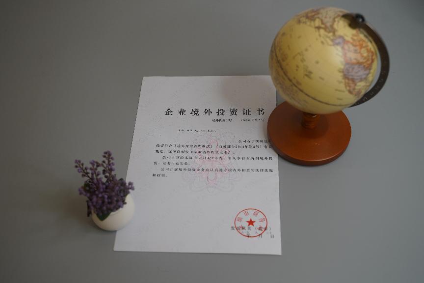 企業境外投資 企業境外投資