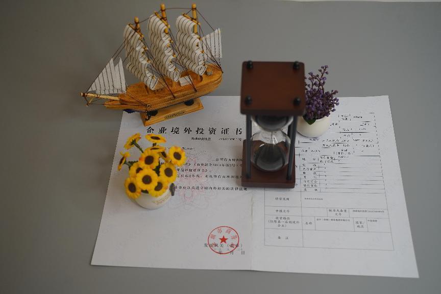 境外投資備案 境外投資備案