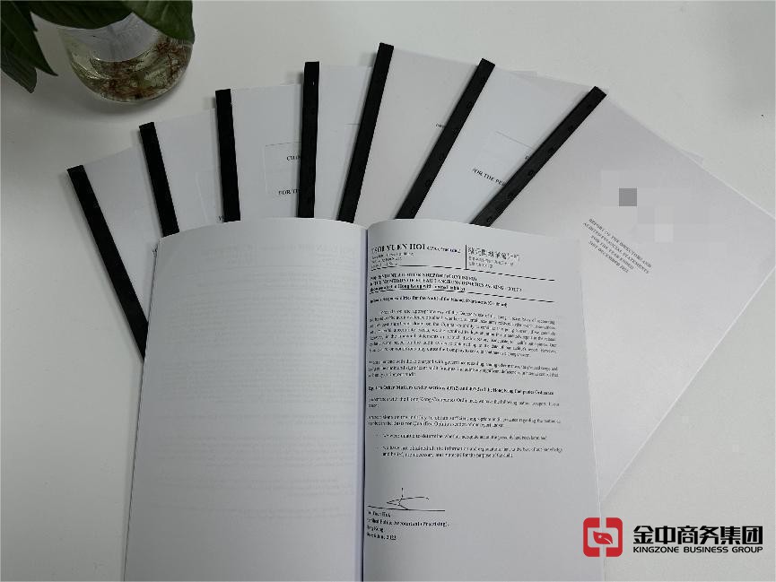 美國公司年審 美國公司年審