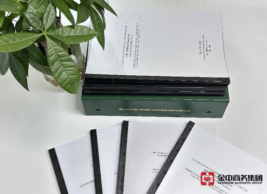 海外公司年審流程解析:確保財務狀況真實準確